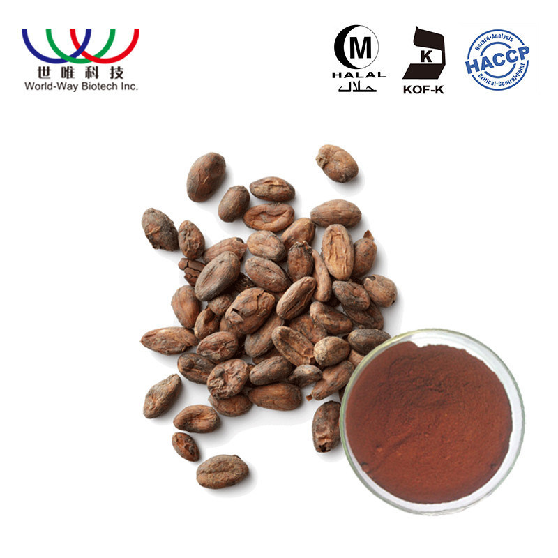 A saúde pura do extrato da planta do cacau do Theobroma protege com o