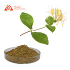 Chlorogenic Acid Antivirus Powder Honey Suckle Extract 5% 20% 50% Purity