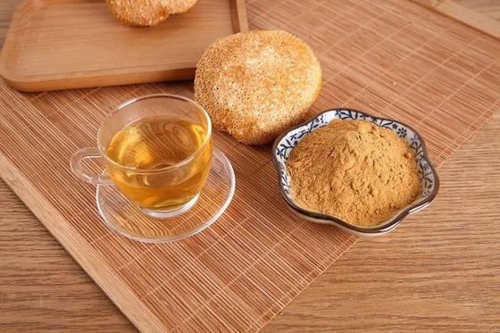 As cápsulas de Hericium Erinaceus de qualidade alimentar favorecem o bem-estar geral