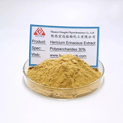 Extracto de Magre de Leão cápsulas de Hericium Erinaceus para pessoas com digestão fraca