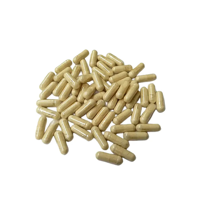 30% de Hericium Erinaceus extracto de cápsulas naturais de HONGDA