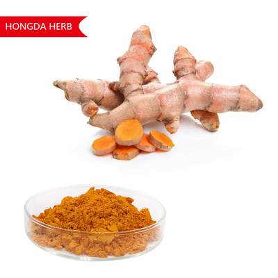 Extracto de planta puro Curcuma Longa em pó 95% HPLC Antioxidante e anti-inflamatório