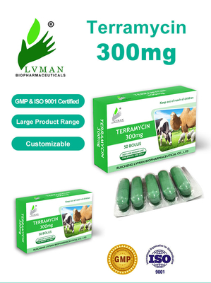 Medicamento veterinário antibacteriano Florfenicol Injecção Para Boi Ovelha Cabra