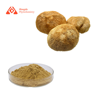 30% Especificação Cápsulas de Hericium Erinaceus Natural para cuidados de saúde
